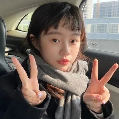 高速路上一只猫