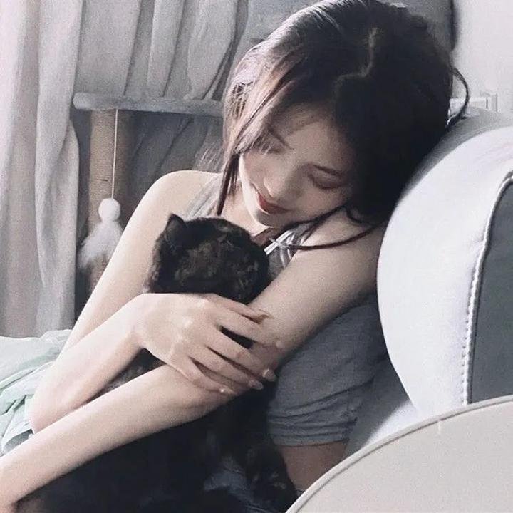 派特和麦特：再度出击